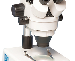 Microscope tissulaire